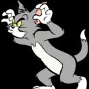 Tom Cat