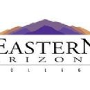 Latter Day Saint movement in Arizona