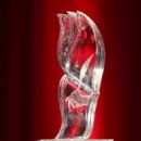 Irish literary awards