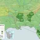 Indian removal