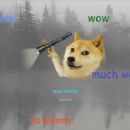Internet memes about dogs
