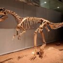 Jurassic Asia