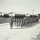 Electronic warfare units and formations