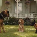 Lady and the Tramp (2019) - 454 x 227