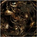 Transcend Into Ferocity