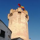 Paterna