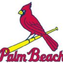 Palm Beach Cardinals