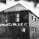 Manufacturing companies disestablished in 1981