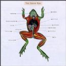 The Verve Pipe