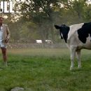 Bull (2016)