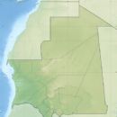 2008 in Mauritania