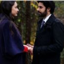 Hayat Mucizelere Gebe - 454 x 288