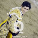 Luis David (bullfighter)