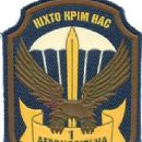 Airborne divisions