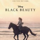 Black Beauty (2020) - 454 x 673