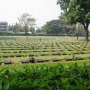 Commonwealth War Graves Commission cemeteries in Thailand