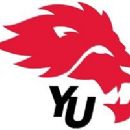 York Lions