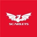Scarlets players