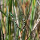 Coastal parks of Victoria (state)