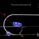 2006 in Italian motorsport