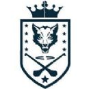 Hurling teams in the United States