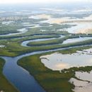 Wetlands of Senegal