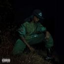 Angel Haze - Back to the Woods
