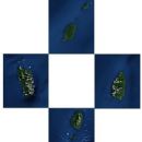 Windward Islands