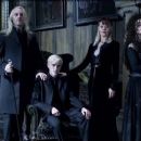Harry Potter and the Deathly Hallows: Part 1 - Tom Felton - 454 x 254