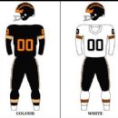 1961 Canadian Football League season by team