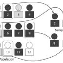 Sampling (statistics)