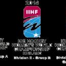 2013 in Icelandic sport
