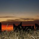 Outdoor sculptures in North Dakota