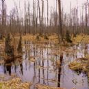 Biosphere reserves of Poland