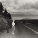 Photographs in the Metropolitan Museum of Art