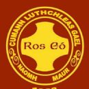 1928 in Gaelic games