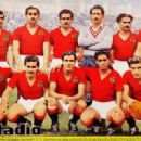 1951 domestic association football leagues
