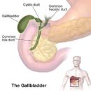 Gallbladder