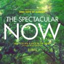 The Spectacular Now