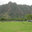 1942 in Hawaii