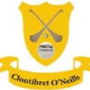 1913 in Gaelic games