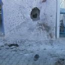 2009 in the Gaza Strip
