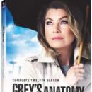 Grey's Anatomy (season 12) episodes