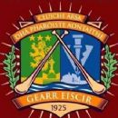 1923 in Gaelic games