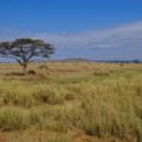 Biosphere reserves of Tanzania