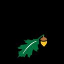 State University of New York College of Environmental Science and Forestry