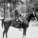 Equestrian sports competitions in Sweden