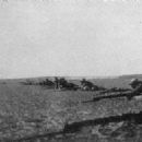 History of Rafah