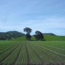 Valleys of Kings County, California