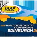2008 IAAF World Cross Country Championships